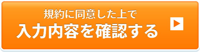 規約に同意した上で入力内容を確認する