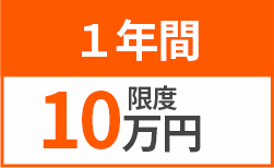 1年間 限度10万円