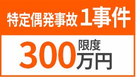 特定偶発事故1事件 限度300万円